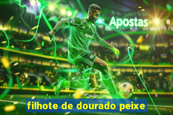 filhote de dourado peixe