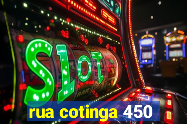 rua cotinga 450