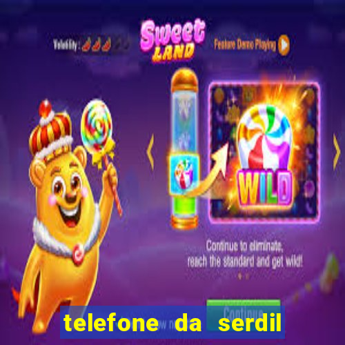 telefone da serdil porto alegre