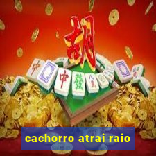 cachorro atrai raio