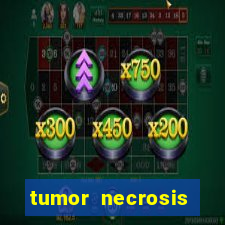 tumor necrosis factor beta