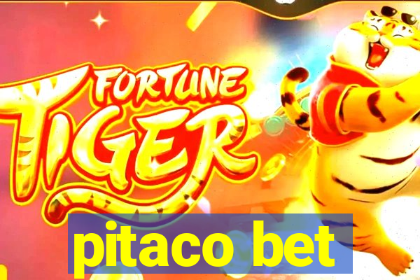 pitaco bet