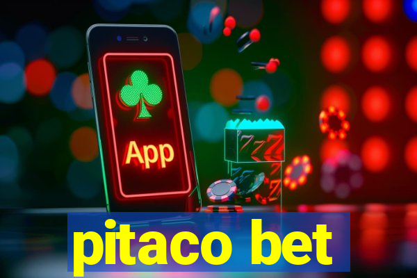 pitaco bet