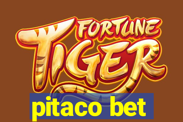 pitaco bet