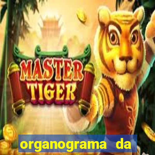 organograma da cacau show