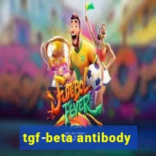 tgf-beta antibody