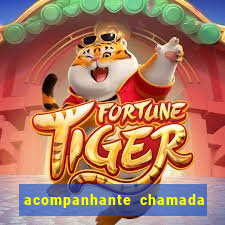 acompanhante chamada de vídeo