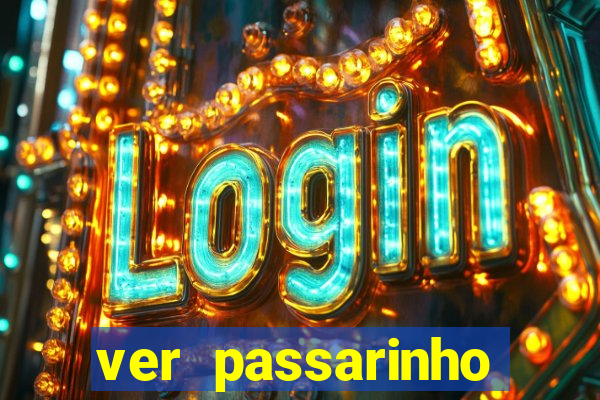 ver passarinho morto significado