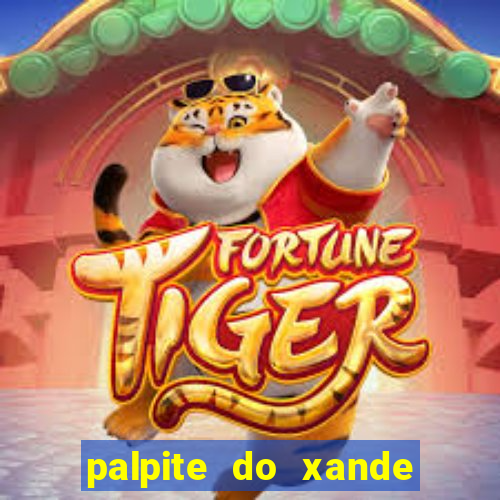 palpite do xande de hoje