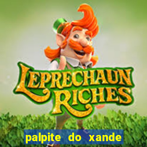 palpite do xande de hoje