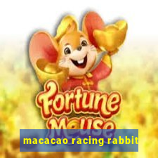 macacao racing rabbit