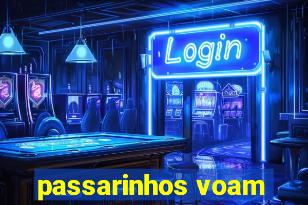 passarinhos voam