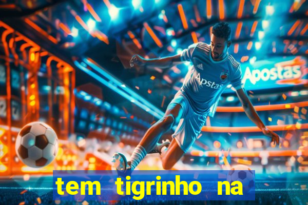 tem tigrinho na bet 365