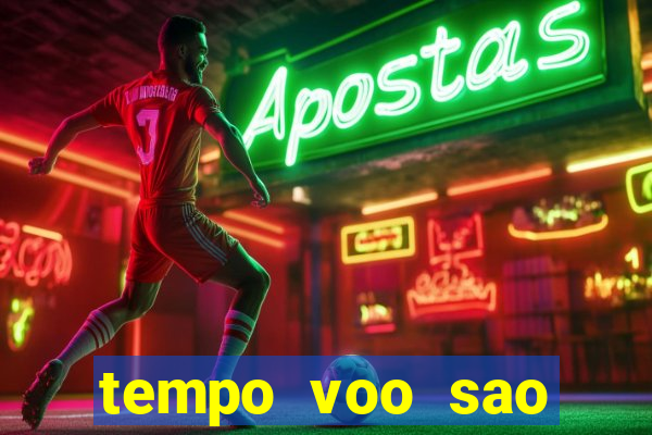 tempo voo sao paulo frankfurt