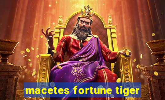 macetes fortune tiger