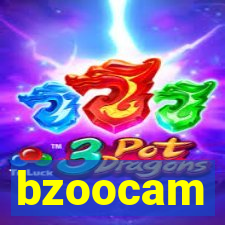 bzoocam