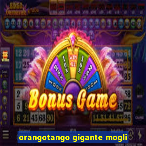 orangotango gigante mogli