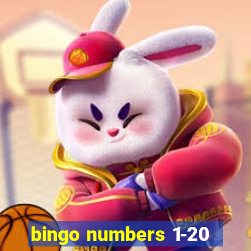 bingo numbers 1-20