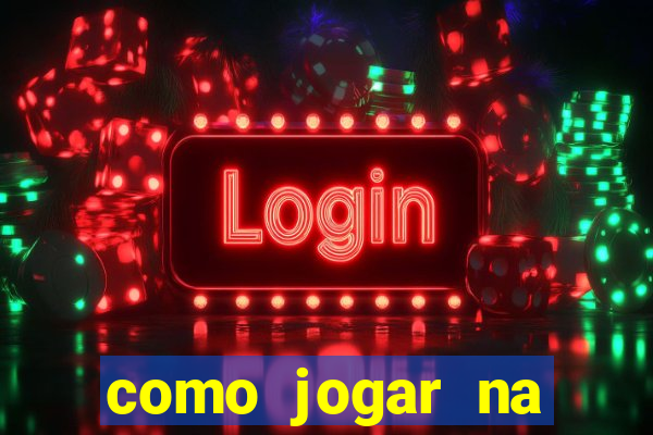 como jogar na loteria gringa online