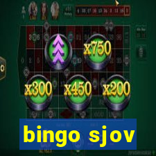 bingo sjov