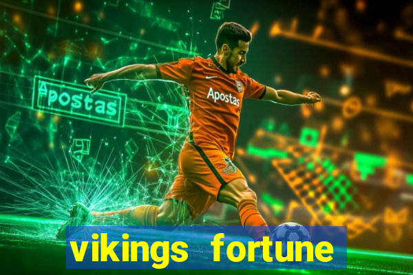 vikings fortune hold and win slot