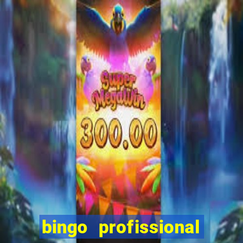 bingo profissional n 3