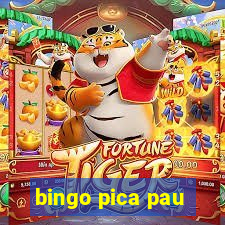 bingo pica pau