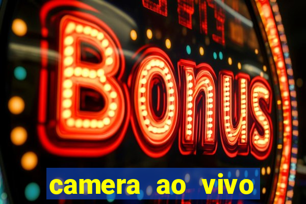 camera ao vivo terminal vila nova cachoeirinha