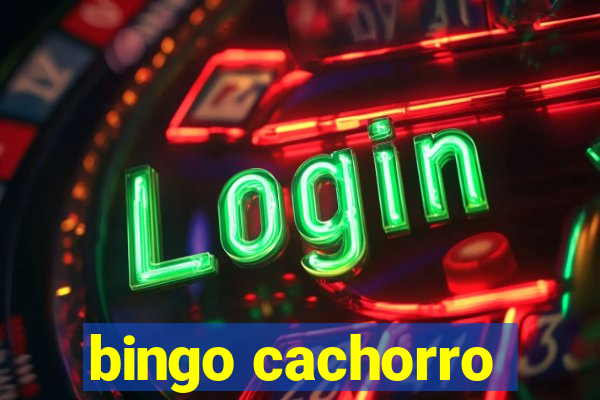 bingo cachorro