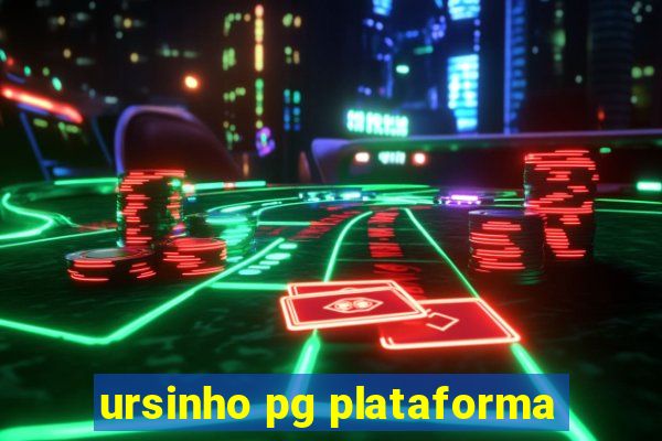 ursinho pg plataforma