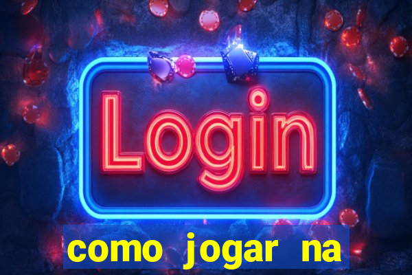 como jogar na lotinha do jogo do bicho