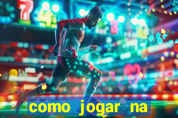 como jogar na lotinha do jogo do bicho