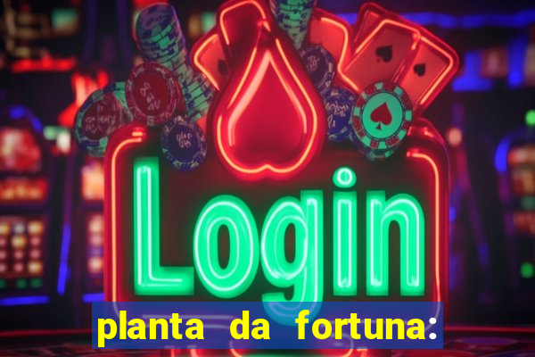 planta da fortuna: como cuidar