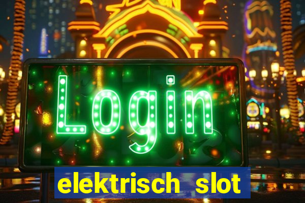 elektrisch slot houten poort