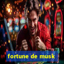 fortune de musk