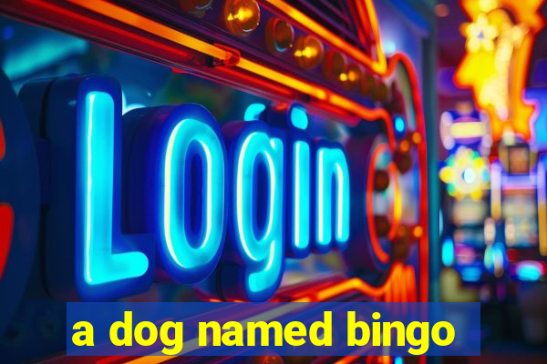 a dog named bingo