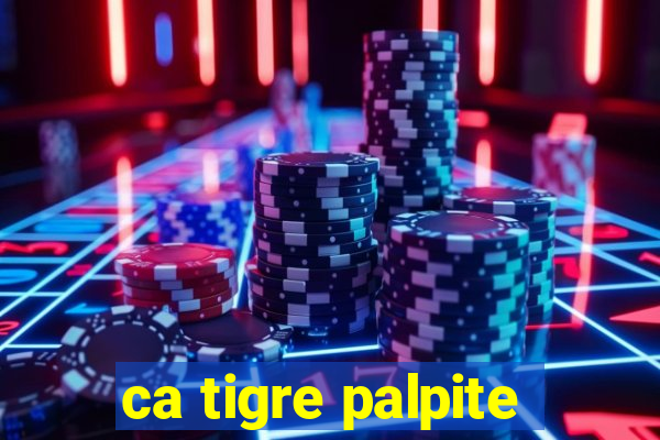 ca tigre palpite