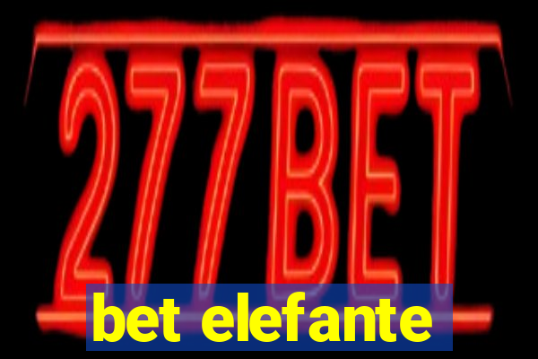 bet elefante