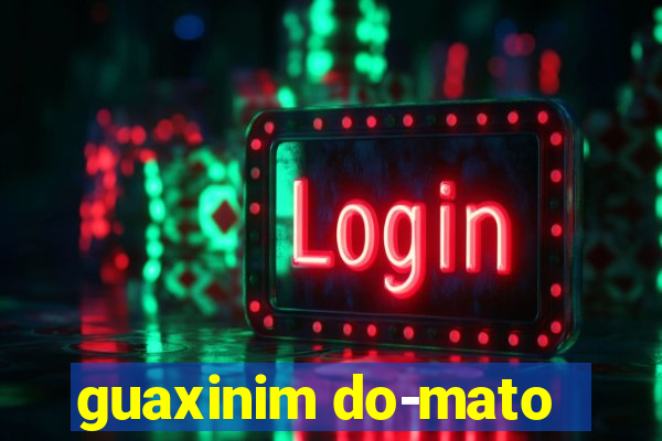 guaxinim do-mato