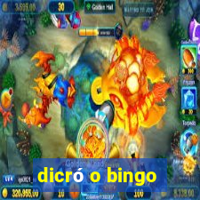 dicró o bingo