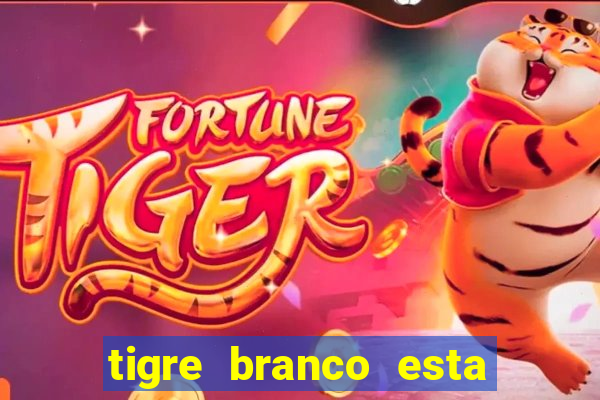 tigre branco esta em extinção