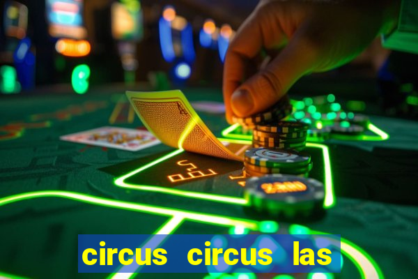 circus circus las vegas hotel & casino