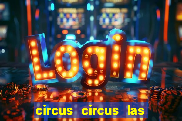 circus circus las vegas hotel & casino