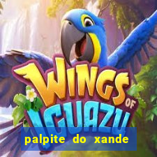 palpite do xande para hoje