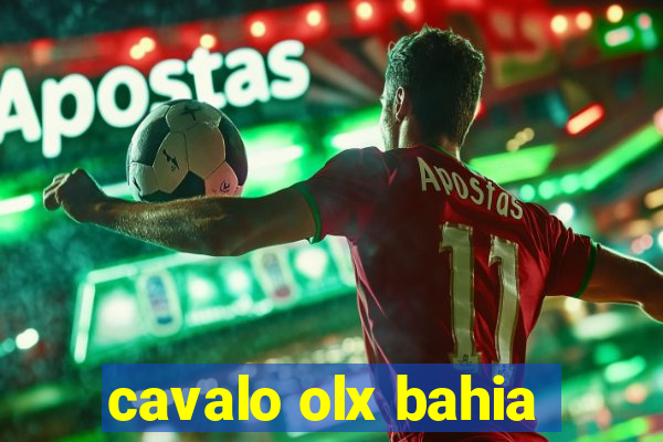 cavalo olx bahia