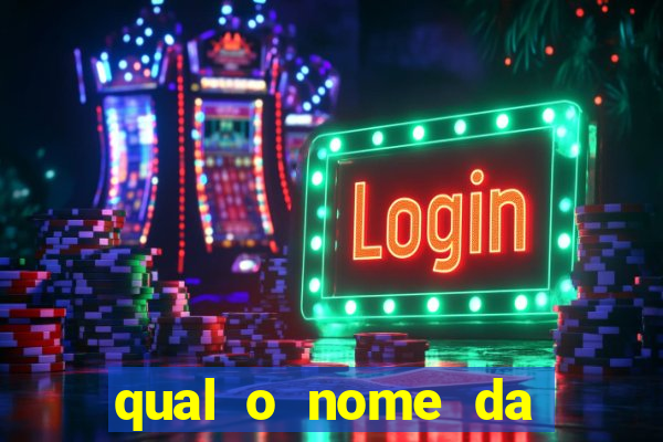 qual o nome da casinha do pinguim