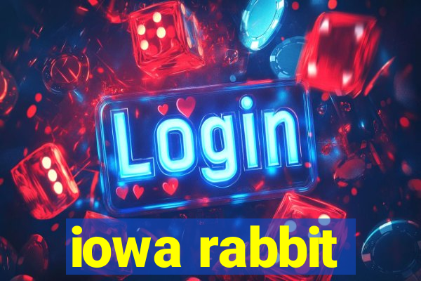 iowa rabbit