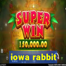 iowa rabbit