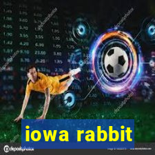 iowa rabbit