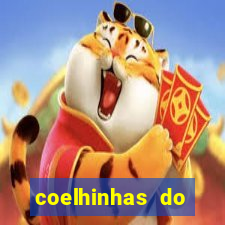 coelhinhas do brasil jp